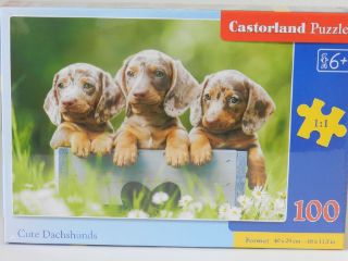 Obrázek z Puzzle pejsci 100 dílků  